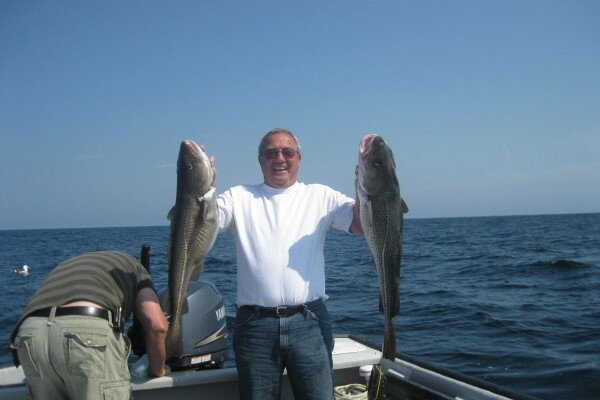 don and cod